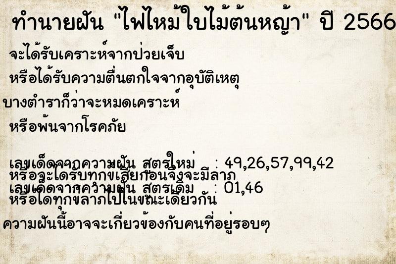 ทำนายฝัน ไฟไหม้ใบไม้ต้นหญ้า ทำนายฝัน ไฟไหม้ใบไม้ต้นหญ้า