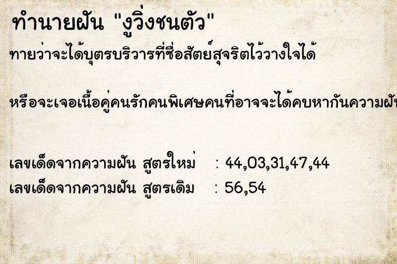 ทำนายฝันงูวิ่งชนตัว ทำนายฝันทำนายฝันงูวิ่งชนตัว