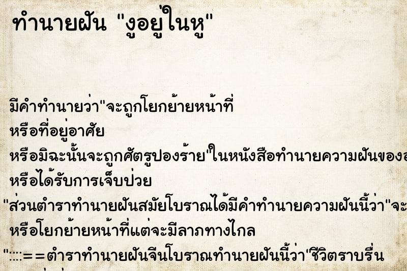 ทำนายฝัน งูอยู่ในหู ทำนายฝัน งูอยู่ในหู