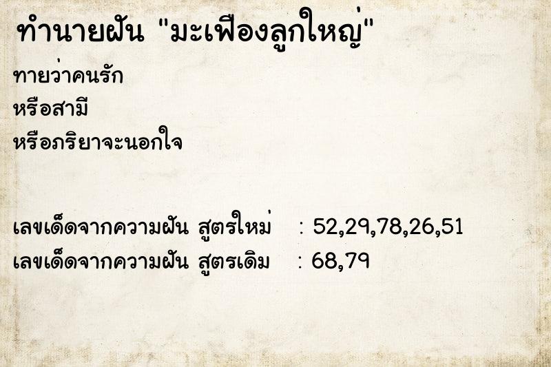 ทำนายฝันมะเฟืองลูกใหญ่ ทำนายฝันทำนายฝันมะเฟืองลูกใหญ่