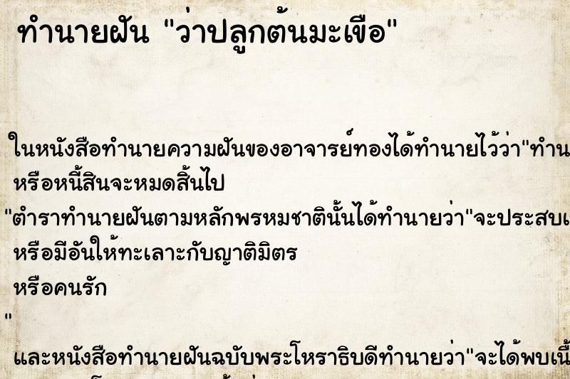 ทำนายฝันทำนายฝันว่าปลูกต้นมะเขือ