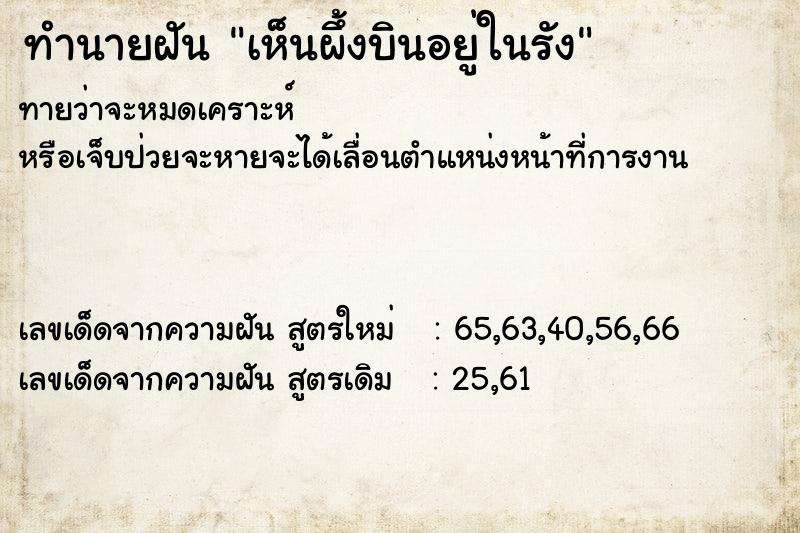 ทำนายฝัน เห็นผึ้งบินอยู่ในรัง ทำนายฝัน เห็นผึ้งบินอยู่ในรัง