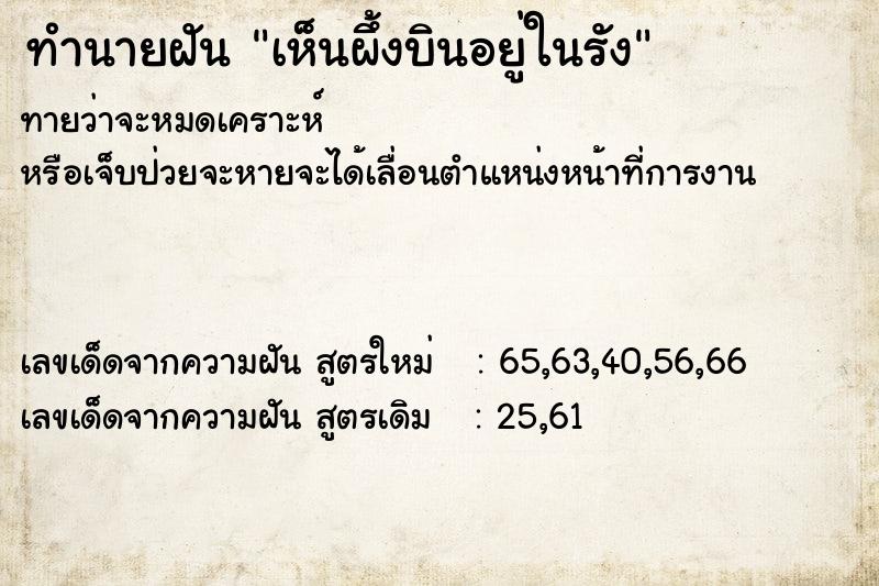 ทำนายฝัน เห็นผึ้งบินอยู่ในรัง ตำราโบราณ แม่นที่สุดในโลก