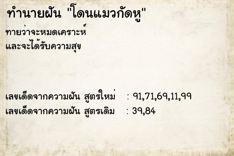 ทำนายฝันโดนแมวกัดหู ทำนายฝันทำนายฝันโดนแมวกัดหู