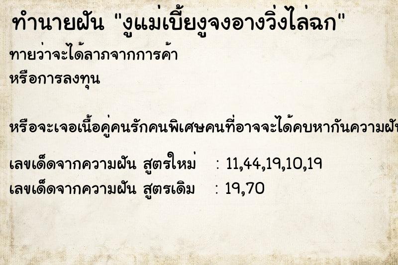 ทำนายฝันงูแม่เบี้ยงูจงอางวิ่งไล่ฉก ทำนายฝันทำนายฝันงูแม่เบี้ยงูจงอางวิ่งไล่ฉก