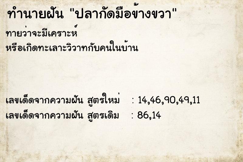 ทำนายฝันปลากัดมือข้างขวา ทำนายฝันทำนายฝันปลากัดมือข้างขวา