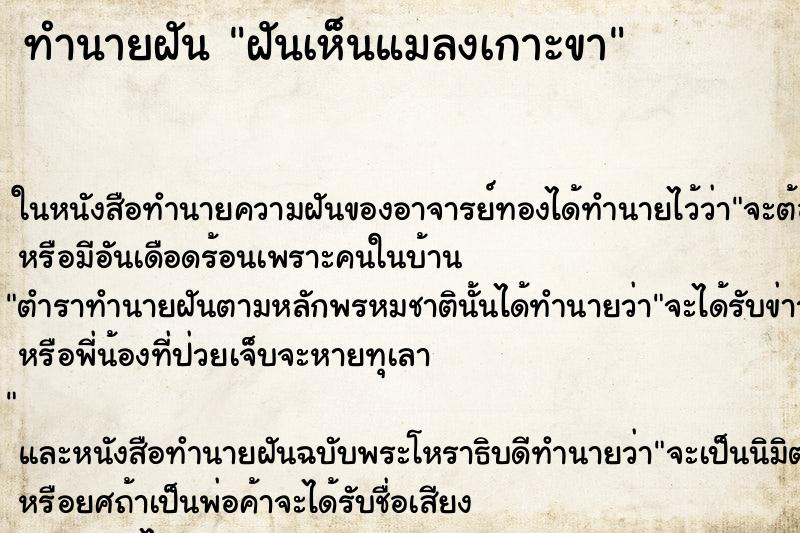 ทำนายฝันฝันเห็นแมลงเกาะขา ทำนายฝันทำนายฝันฝันเห็นแมลงเกาะขา