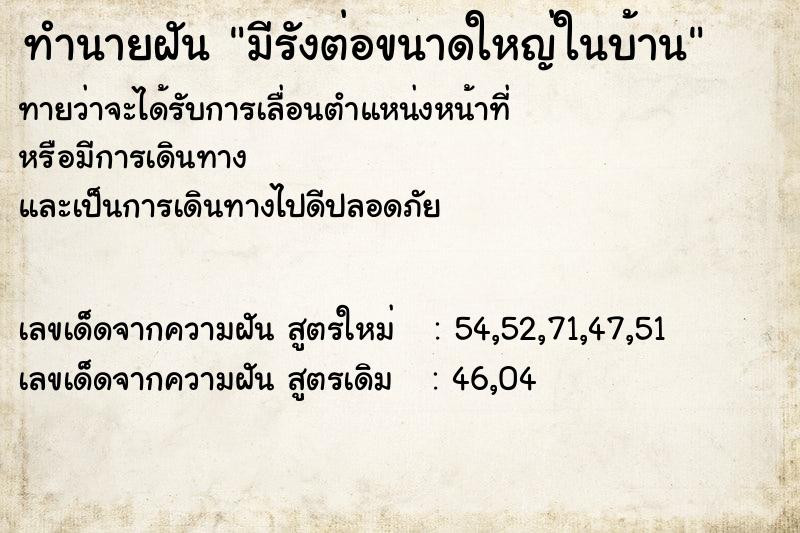ทำนายฝันมีรังต่อขนาดใหญ่ในบ้าน ทำนายฝันทำนายฝันมีรังต่อขนาดใหญ่ในบ้าน