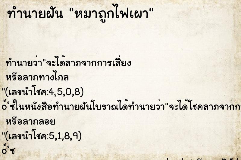 ทำนายฝัน หมาถูกไฟเผา ทำนายฝัน หมาถูกไฟเผา