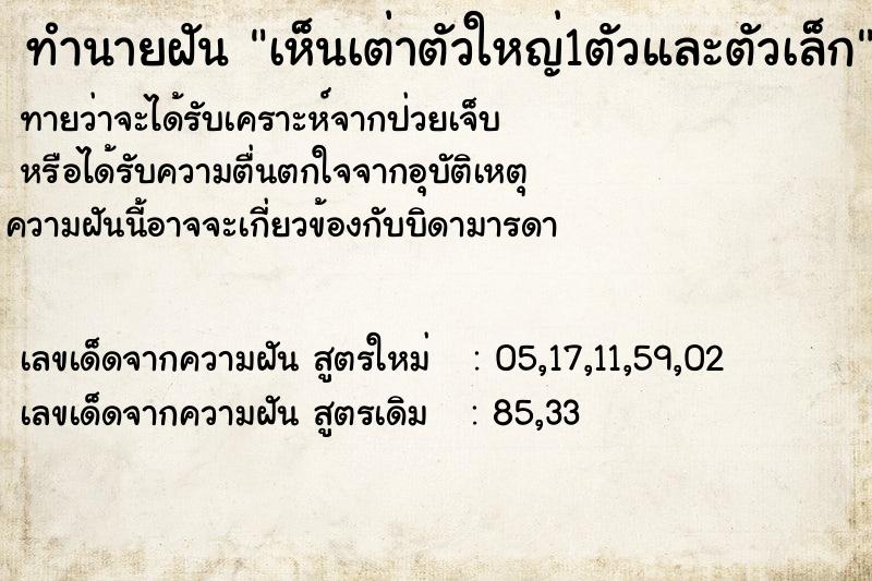 ทำนายฝัน เห็นเต่าตัวใหญ่1ตัวและตัวเล็ก ทำนายฝัน เห็นเต่าตัวใหญ่1ตัวและตัวเล็ก
