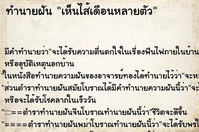 ทำนายฝัน เห็นไส้เดือนหลายตัว ทำนายฝัน เห็นไส้เดือนหลายตัว