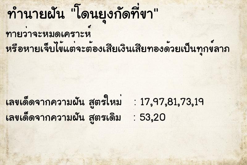 ทำนายฝัน โดนยุงกัดที่ขา ทำนายฝัน โดนยุงกัดที่ขา