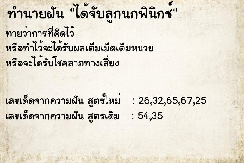 ทำนายฝันทำนายฝันได้จับลูกนกฟินิกซ์