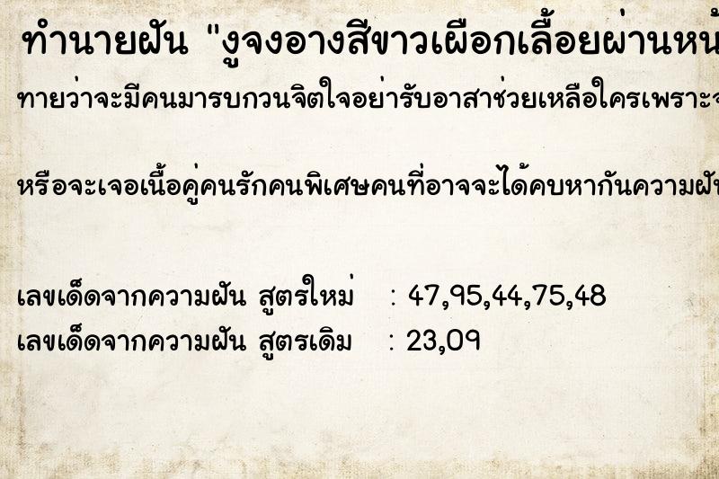 ทำนายฝันงูจงอางสีขาวเผือกเลื้อยผ่านหน้า ทำนายฝันทำนายฝันงูจงอางสีขาวเผือกเลื้อยผ่านหน้า