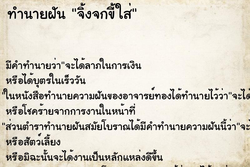 ทำนายฝัน จิ้งจกขี้ใส่ ทำนายฝัน จิ้งจกขี้ใส่