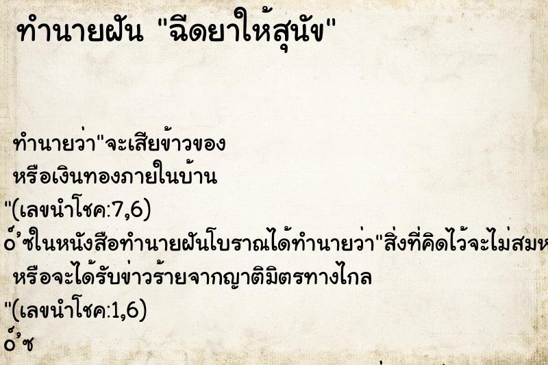 ทำนายฝัน ฉีดยาให้สุนัข ทำนายฝัน ฉีดยาให้สุนัข