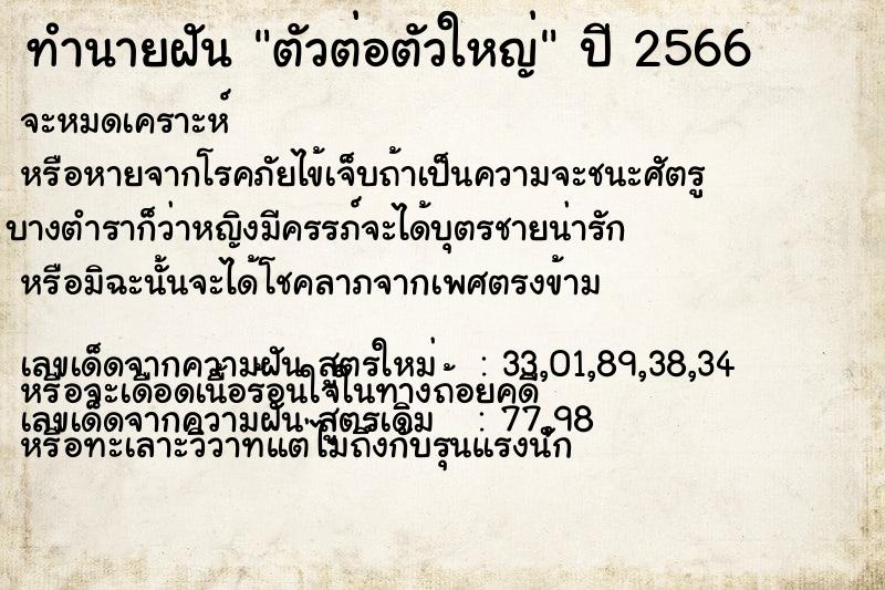 ทำนายฝัน ตัวต่อตัวใหญ่ ทำนายฝัน ตัวต่อตัวใหญ่