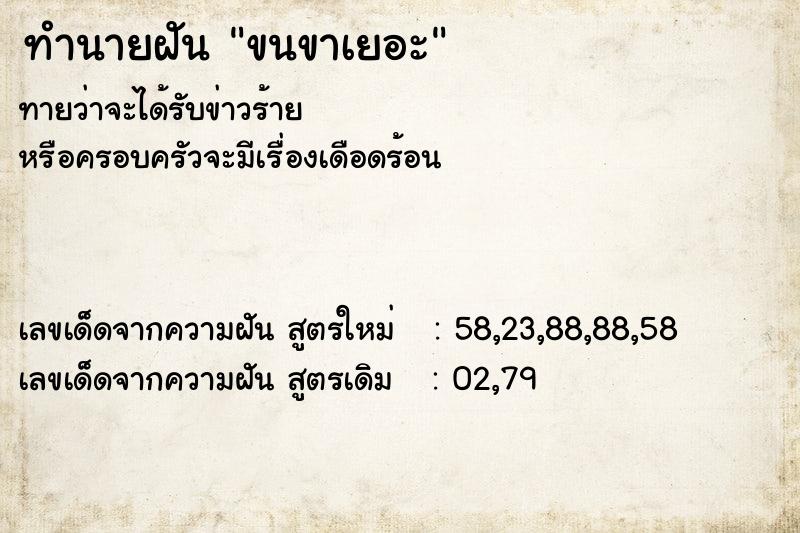 ทำนายฝันขนขาเยอะ ทำนายฝันทำนายฝันขนขาเยอะ