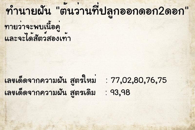ทำนายฝันต้นว่านที่ปลูกออกดอก2ดอก ทำนายฝันทำนายฝันต้นว่านที่ปลูกออกดอก2ดอก
