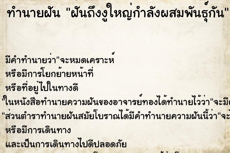 ทำนายฝัน ฝันถึงงูใหญ่กำลังผสมพันธุ์กัน ทำนายฝัน ฝันถึงงูใหญ่กำลังผสมพันธุ์กัน