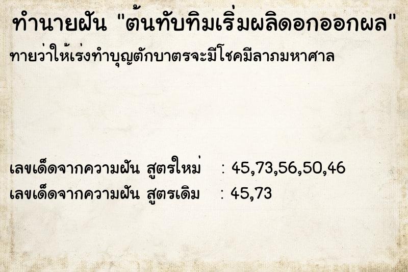 ทำนายฝันทำนายฝันต้นทับทิมเริ่มผลิดอกออกผล