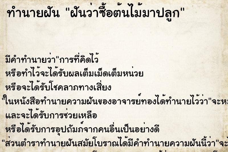 ทำนายฝัน ฝันว่าซื้อต้นไม้มาปลูก ทำนายฝัน ฝันว่าซื้อต้นไม้มาปลูก