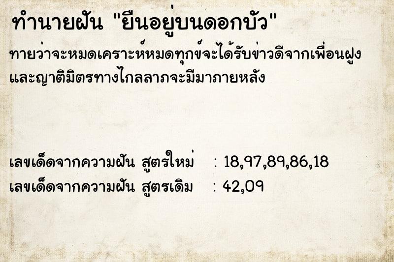 ทำนายฝันทำนายฝันยืนอยู่บนดอกบัว