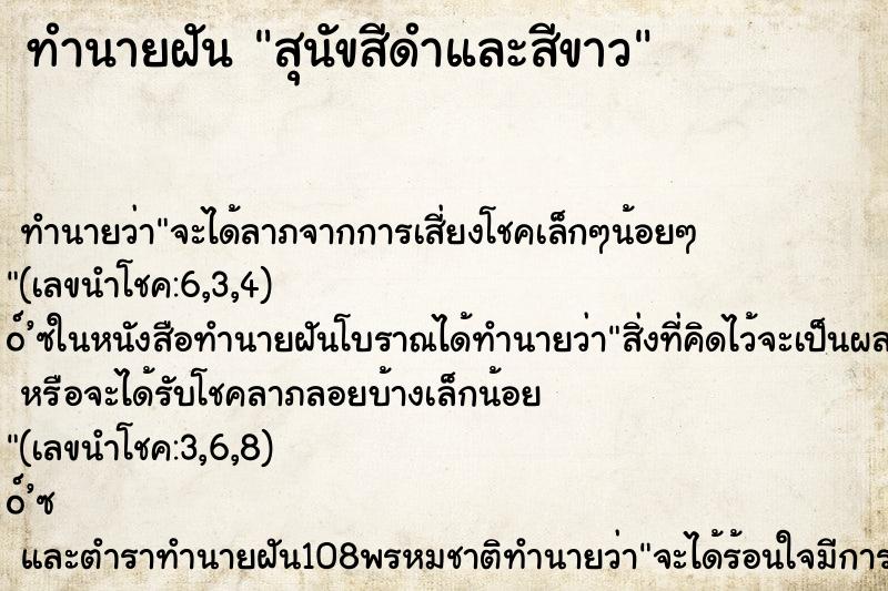 ทำนายฝัน สุนัขสีดำและสีขาว ทำนายฝัน สุนัขสีดำและสีขาว