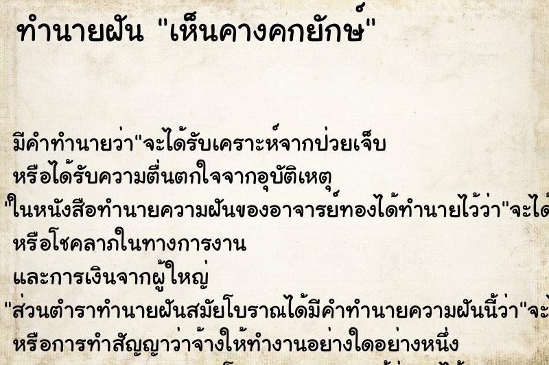 ทำนายฝัน เห็นคางคกยักษ์ ทำนายฝัน เห็นคางคกยักษ์