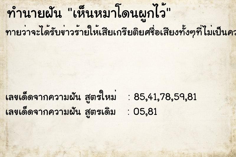 ทำนายฝัน เห็นหมาโดนผูกไว้ ตำราโบราณ แม่นที่สุดในโลก