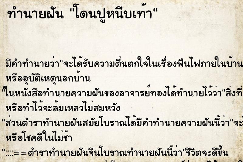 ทำนายฝัน โดนปูหนีบเท้า ทำนายฝัน โดนปูหนีบเท้า