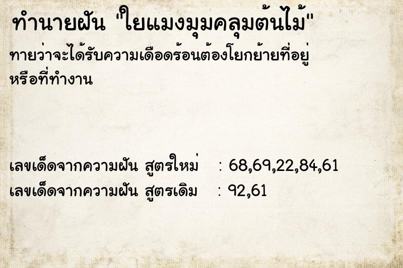 ทำนายฝันทำนายฝันใยแมงมุมคลุมต้นไม้
