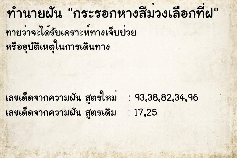 ทำนายฝันทำนายฝันกระรอกหางสีม่วงเลือกที่ฝ