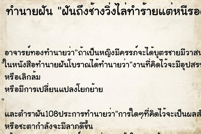 ทำนายฝันฝันถึงช้างวิ่งไล่ทำร้ายแต่หนีรอด ทำนายฝันทำนายฝันฝันถึงช้างวิ่งไล่ทำร้ายแต่หนีรอด