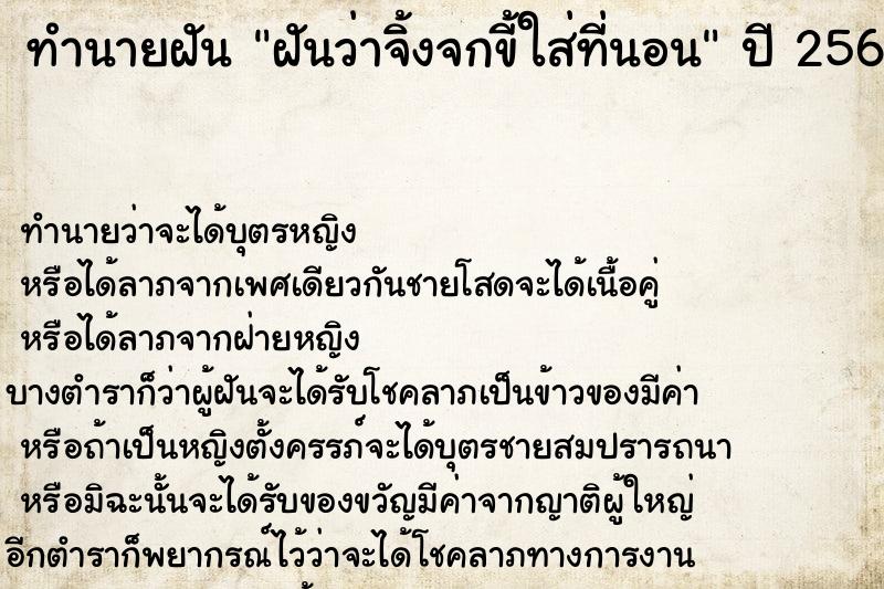 ทำนายฝัน ฝันว่าจิ้งจกขี้ใส่ที่นอน
