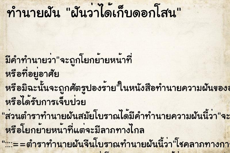 ทำนายฝัน ฝันว่าได้เก็บดอกโสน ตำราโบราณ แม่นที่สุดในโลก