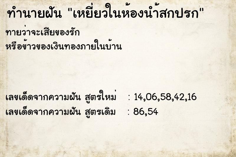 ทำนายฝันทำนายฝันเหยี่ยวในห้องนำ้สกปรก