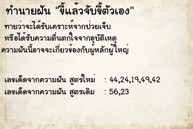 ทำนายฝันทำนายฝันขี้แล้วจับขี้ตัวเอง
