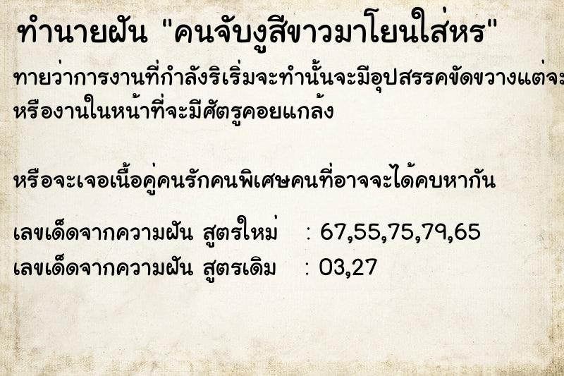 ทำนายฝันทำนายฝันคนจับงูสีขาวมาโยนใส่หÃ