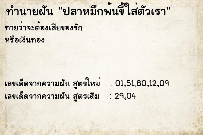 ทำนายฝันทำนายฝันปลาหมึกพ้นขี้ใส่ตัวเรา