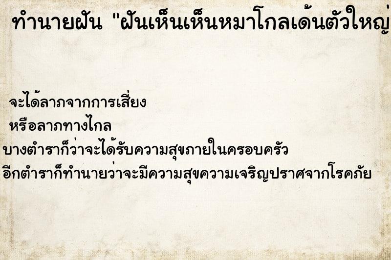 ทำนายฝันทำนายฝันฝันเห็นเห็นหมาโกลเด้นตัวใหญ่น่ารัก