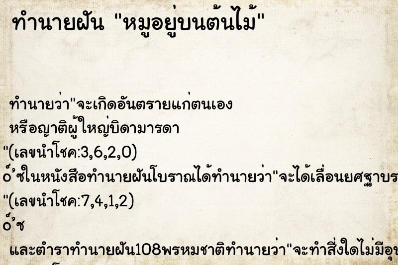 ทำนายฝัน หมูอยู่บนต้นไม้ ทำนายฝัน หมูอยู่บนต้นไม้