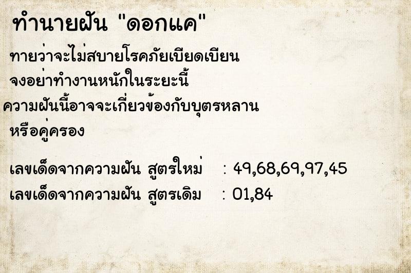 ทำนายฝันดอกแค ทำนายฝันทำนายฝันดอกแค