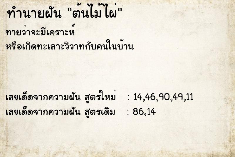 ทำนายฝันทำนายฝันต้นไม้ไผ่