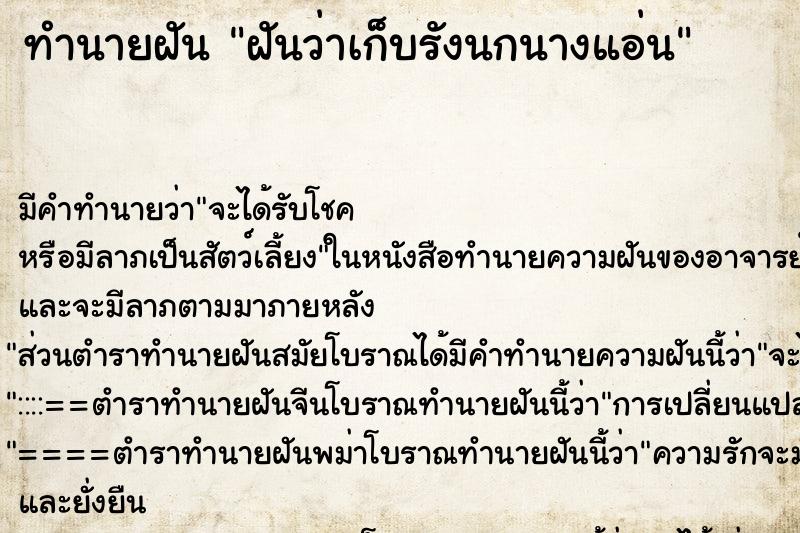 ทำนายฝัน ฝันว่าเก็บรังนกนางแอ่น ทำนายฝัน ฝันว่าเก็บรังนกนางแอ่น
