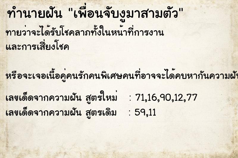 ทำนายฝัน เพื่อนจับงูมาสามตัว ทำนายฝัน เพื่อนจับงูมาสามตัว