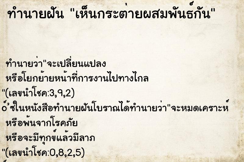 ทำนายฝัน เห็นกระต่ายผสมพันธ์กัน ทำนายฝัน เห็นกระต่ายผสมพันธ์กัน