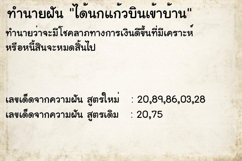 ทำนายฝันได้นกแก้วบินเข้าบ้าน ทำนายฝันทำนายฝันได้นกแก้วบินเข้าบ้าน