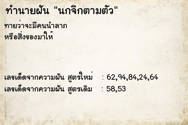 ทำนายฝันนกจิกตามตัว ทำนายฝันทำนายฝันนกจิกตามตัว