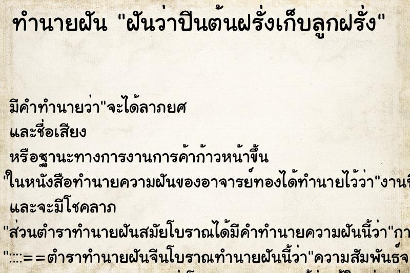 ทำนายฝัน ฝันว่าปีนต้นฝรั่งเก็บลูกฝรั่ง ทำนายฝัน ฝันว่าปีนต้นฝรั่งเก็บลูกฝรั่ง